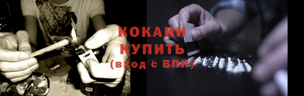 сатива Заволжье