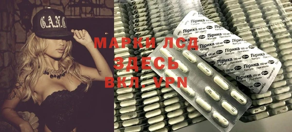 шишки Елизово
