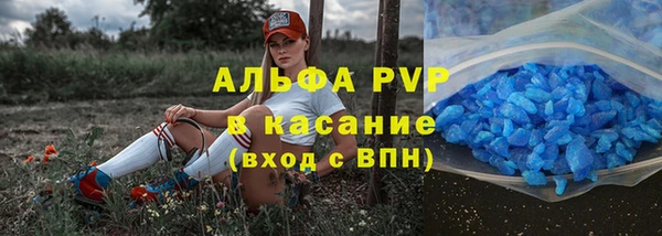 шишки Елизово