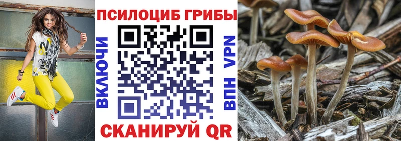 Галлюциногенные грибы Psilocybine cubensis  Купить  Задонск 